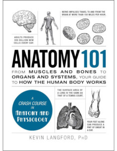 ANATOMY 101