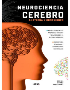 NEUROCIENCIA CEREBRO ANATOMÍA Y CONEXIONES