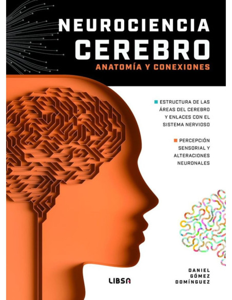 NEUROCIENCIA CEREBRO ANATOMÍA Y CONEXIONES