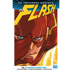 The Flash Vol. 1 Lightning Strikes Twice Rebirth