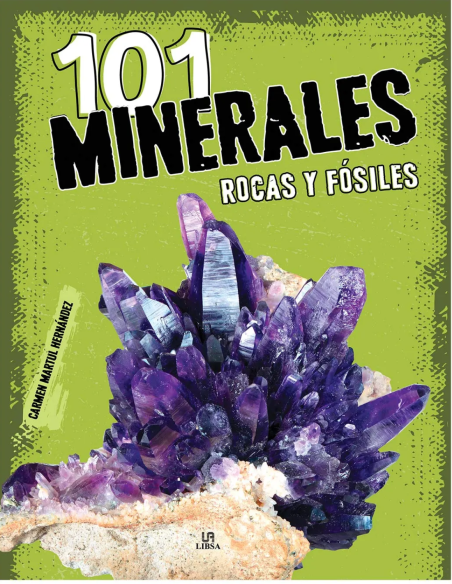 101  MINERALES
