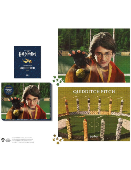 HARRY POTTER QUIDDITCH MATCH 2-IN-1 DOUB