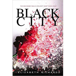 Black City (A Black City Novel)