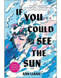 IF YOU COULD SEE THE SUN